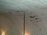 The gracefully curved ceiling.