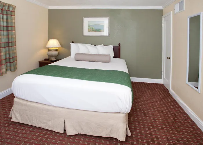 Traveler'S Inn Williams, Ca Modern Renovated Hotel
