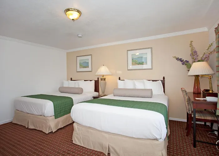 Traveler'S Inn Williams, Ca Modern Renovated Hotel
